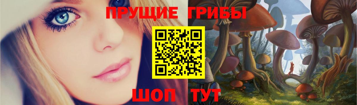 Галлюциногенные грибы Psilocybe Оренбург