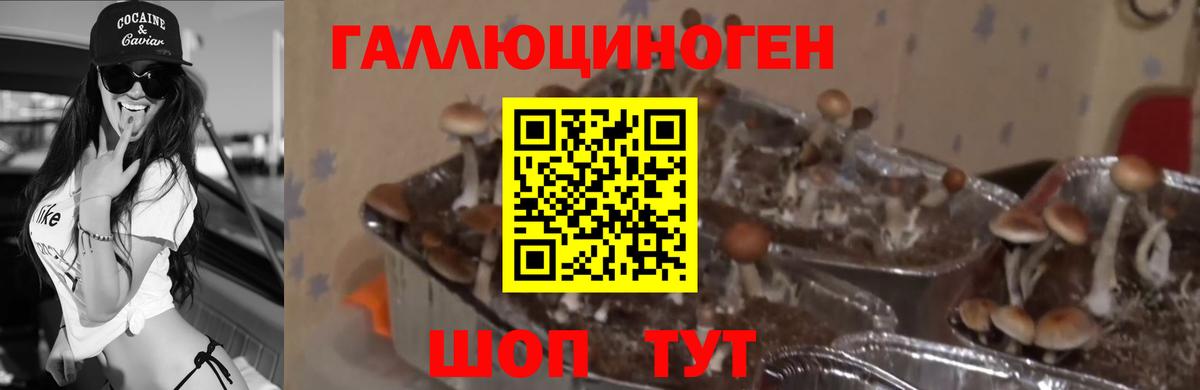 Псилоцибиновые грибы мухоморы  Вход с VPN  Псилоцибиновые грибы Psilocybine cubensis  Оренбург 